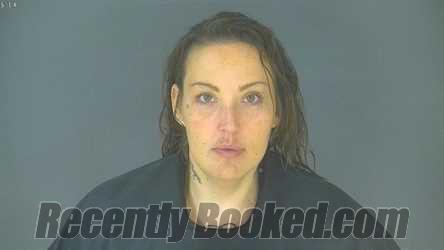 Booking photo from Halifax County, Virginia