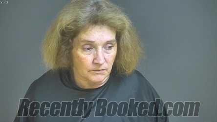 Booking photo from Halifax County, Virginia