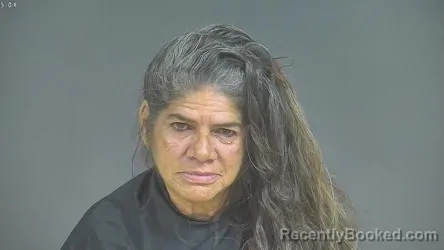 Mugshot of CAROL RENDON CHISHOLM booked in Halifax County, Virginia on June 6, 2026