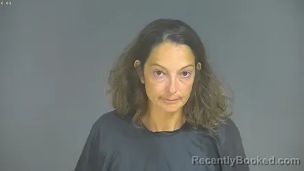 Mugshot of Donna Fisher booked in Halifax County, Virginia on August 31, 2026
