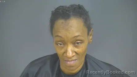 Mugshot of Diana Harrison Hughes booked in Halifax County, Virginia on August 31, 2026
