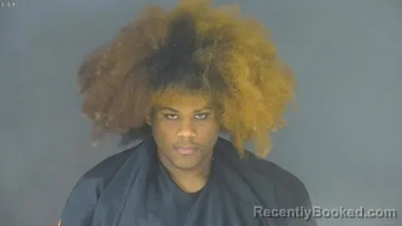 Mugshot of ERIC EMIR MILLER