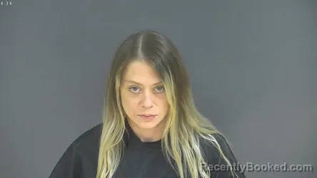 Booking photo from Halifax County, Virginia
