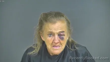 Mugshot of LISA ANN LEWIS booked in Halifax County, Virginia on June 1, 2026