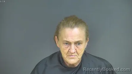 Mugshot of Lisa Ann Lewis booked in Halifax County, Virginia on August 12, 2026