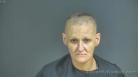 Mugshot of MELISSA TERRY SNEAD booked in Halifax County, Virginia on June 5, 2026