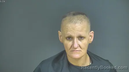 Mugshot of MELISSA TERRY SNEAD booked in Halifax County, Virginia on June 5, 2026