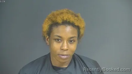 Mugshot of MICHEALA DANILLE WEBB booked in Halifax County, Virginia on May 14, 2026