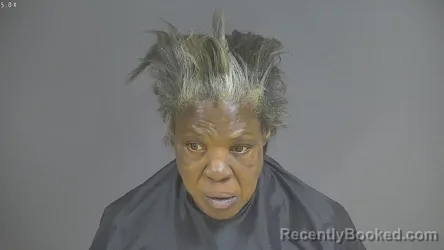 Mugshot of PAMELA LEE POWELL booked in Halifax County, Virginia on April 5, 2026