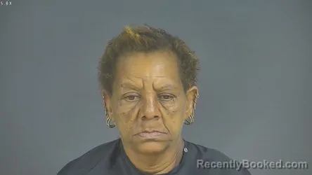 Mugshot of PAMELA JONES STOVALL booked in Halifax County, Virginia on July 17, 2026