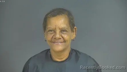 Mugshot of Pamela Jones Stovall booked in Halifax County, Virginia on August 7, 2026