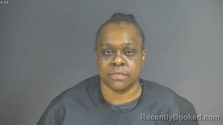 Mugshot of QUANA BAILEY TERRY booked in Halifax County, Virginia on July 5, 2026