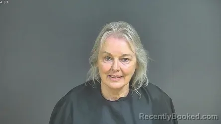 Mugshot of SARAH MCALISTER booked in Halifax County, Virginia on August 3, 2026