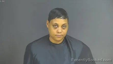 Mugshot of Tabitha Nicole Gomes booked in Halifax County, Virginia on August 14, 2026
