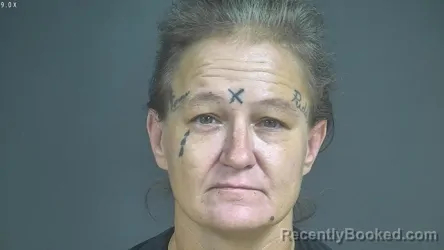 Mugshot of VICKY ELAINE TRONE booked in Halifax County, Virginia on May 27, 2026