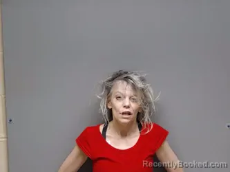 Mugshot of PATRICIA DOWDY HELQUIST booked in Henrico County, Virginia on July 1, 2026