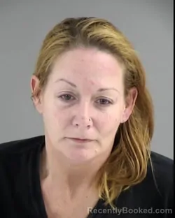 Mugshot of MELISSA BETH PALMER booked in Henrico County, Virginia on March 13, 2026