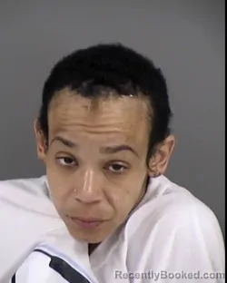 Mugshot of RHEA MARTINE MICKENS booked in Henrico County, Virginia on March 7, 2026