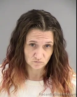 Booking photo from Henrico County, Virginia