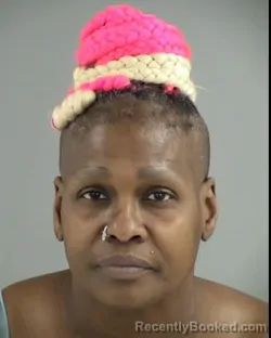 Mugshot of DANIELLE RENEE HICKLIN booked in Henrico County, Virginia on March 9, 2026