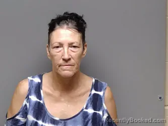 Mugshot of Carol Ann Manning booked in Henrico County, Virginia on August 29, 2026