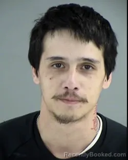 Mugshot of NATHAN SAMNANG ELLIS booked in Henrico County, Virginia on March 24, 2026