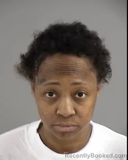 Mugshot of TATIANA ELIZABETH INCE