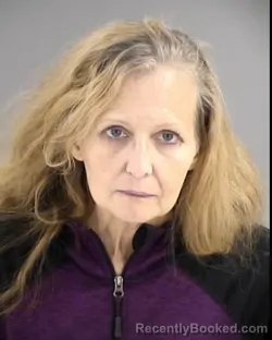 Mugshot of MELISSA LYNN FULMER booked in Henrico County, Virginia on March 17, 2026