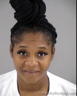 Mugshot of TYNESHA SHAWNJEA TERRY booked in Henrico County, Virginia on June 5, 2026
