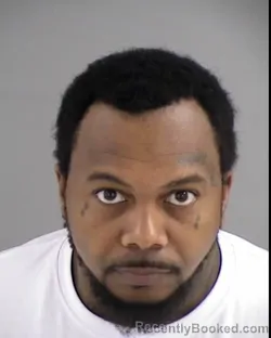 Mugshot of RAYSHAWN DEONTE ROBINSON booked in Henrico County, Virginia on March 19, 2026