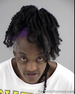 Mugshot of CHENERE ARNITTRA HARRIS