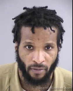 Booking photo from Henrico County, Virginia
