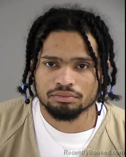 Mugshot of BRAD AUSTIN TEAS booked in Henrico County, Virginia on March 13, 2026