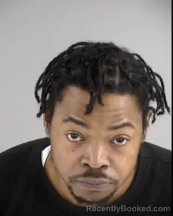 Booking photo from Henrico County, Virginia