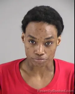 Mugshot of SHAWNELL RONEIKA HOLMAN booked in Henrico County, Virginia on May 21, 2026