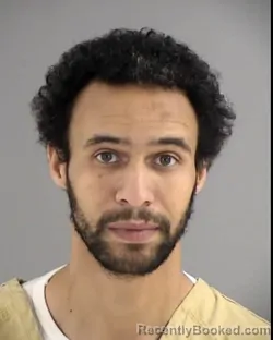 Mugshot of TIMOTHY LEE HARRIS booked in Henrico County, Virginia on March 13, 2026