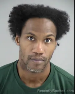 Mugshot of JOEL MICHAEL ROBINSON booked in Henrico County, Virginia on March 5, 2026