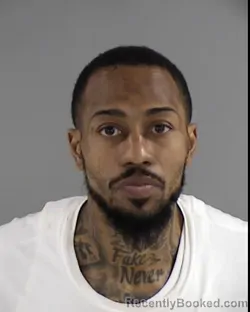 Mugshot of ANTHONY FERNANDO MITCHELL