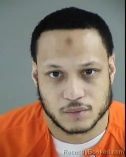 Mugshot of ALFONZO LEE STEWART booked in Henrico County, Virginia on March 19, 2026