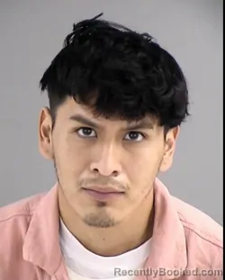 Mugshot of SALVADOR SANTOS BRAVO