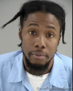 Mugshot of CHIQUEES DION PLEASANT