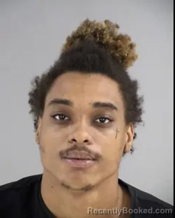 Mugshot of SKY JOHN HENLEY booked in Henrico County, Virginia on March 6, 2026