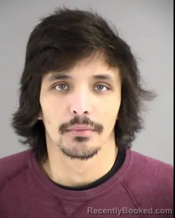 Booking photo from Henrico County, Virginia