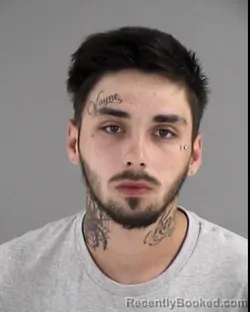 Mugshot of BLAKE ALLEN SELLERS booked in Henrico County, Virginia on April 25, 2026