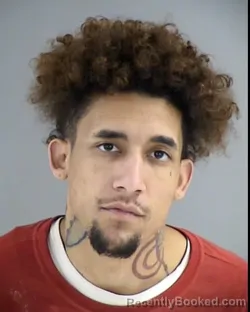 Mugshot of BLAIR ALEXANDER BARHAM