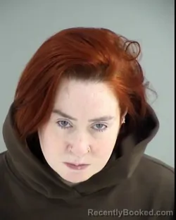 Mugshot of REBECCA LEIGH SALYER