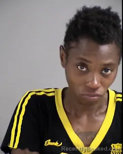 Mugshot of KRISTEN YVETTE JOHNSON