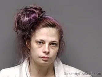 Mugshot of Hayley Morgan Johnson booked in Henrico County, Virginia on August 18, 2026