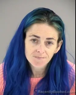 Mugshot of ASHLEY HILLIS BEACHAM booked in Henrico County, Virginia on March 13, 2026