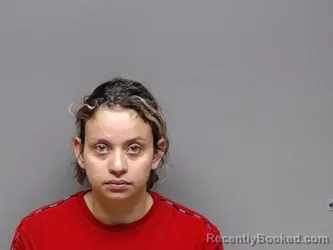 Mugshot of ELISA CRISTINA HERNANDEZ HERNANDEZ booked in Henrico County, Virginia on July 17, 2026